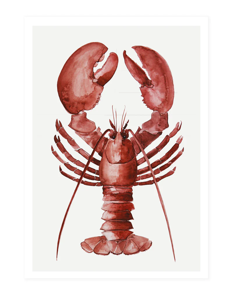 My Deer Art Shop - kaart + envelop Lobster