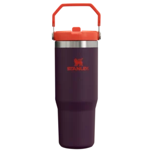 stanley flip straw tumbler plum